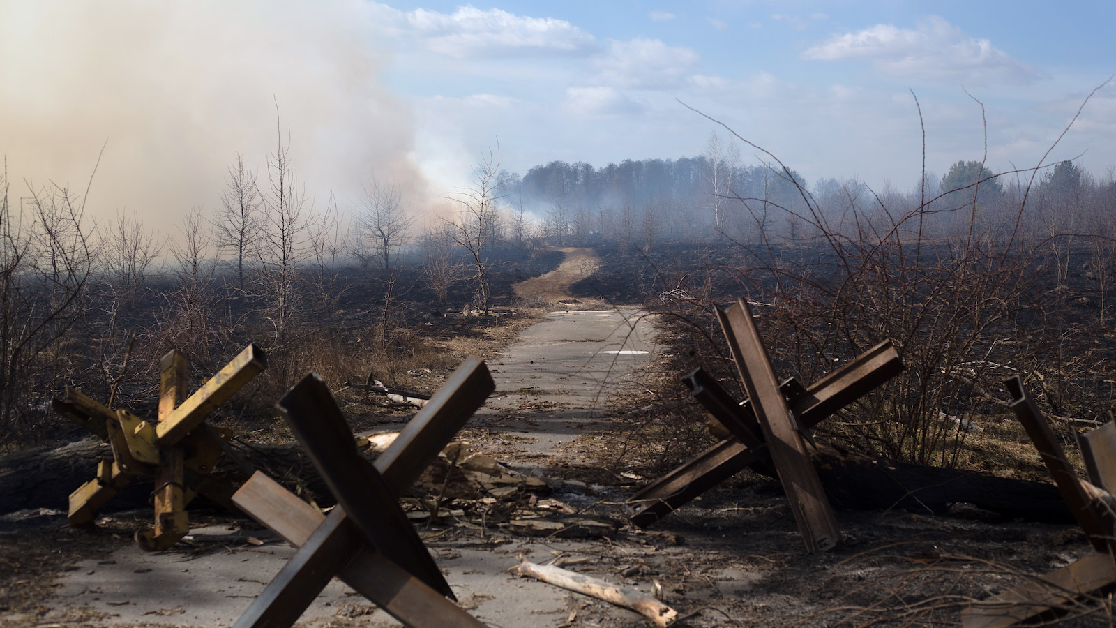 Collateral Damage: The Environmental Cost of the Ukraine War