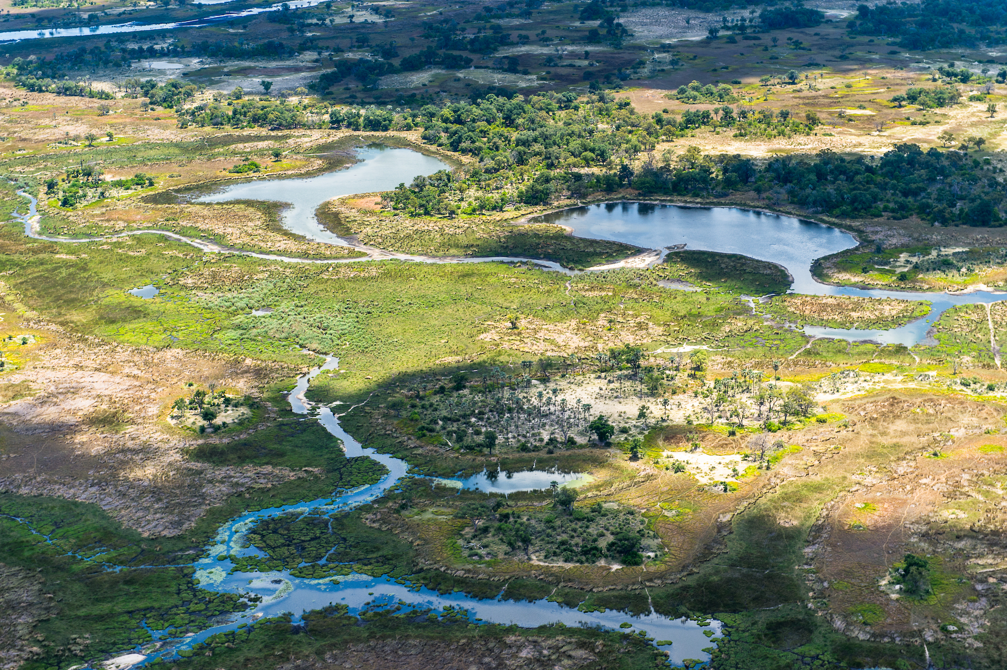 A Big Oil Project in Africa Threatens Fragile Okavango Region